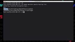 Getting Started with HashiCorp Nomad - Demo - Rotating the Gossip Encryption Key Instructional Video