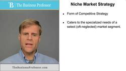Niche Market Strategy Instructional Video