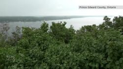 How the pandemic is impacting short-term rentals in communities small and large News Clip