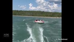 #TheMoment this pug lived his best Canadian cottage life News Clip