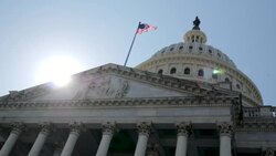 Washington DC on a sunny day News Clip