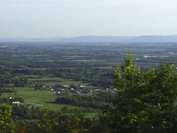 Problemas ambientales y soluciones: el ambiente Instructional Video