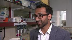 Second man seems AIDS free after transplant News Clip