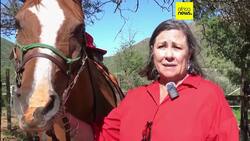 In Namibia, horse-riding becomes therapy for children with special needs News Clip