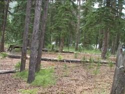 Using the Scientific Method: Test Results and Conclusions Instructional Video