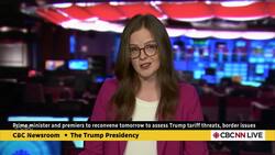 Canadian politicians react to Trump calling Trudeau governor of Canada News Clip