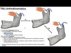 TMJ Biomechanics | Mandibular Depression Instructional Video