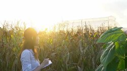 Close-up of asian young female note results in agricultural field Stock Footage