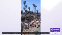 Sea Lions Dart Onto Beach And Appear To Chase Tourists Away News Clip