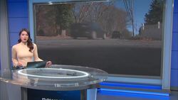 Police: 2 men arrested in Ramapo shooting incident News Clip