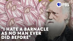 These Creatures Were Darwin's Greatest Enemy Instructional Video