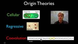 Viruses Instructional Video