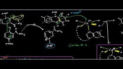 Corrin/B12 Biochemistry: Cobalamin Reductase Instructional Video