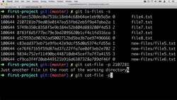 Complete Git Guide: Understand and Master Git and GitHub - Observing Conflicts in the Staging Area and Working Directory Instructional Video