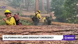 Governor Newsom Declares Drought Emergency Across California News Clip