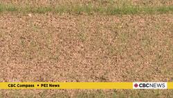 'This is huge': Work continues on new Stratford community campus News Clip