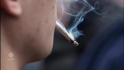 Trudeau government faces many questions over pot legalization News Clip