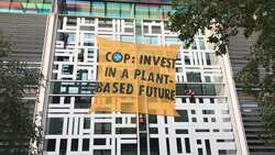 Activists scale Defra building in Westminster News Clip
