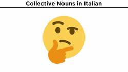 Collective Nouns in Italian Instructional Video