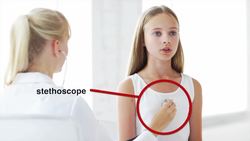 Respiratory and Circulatory System Instructional Video