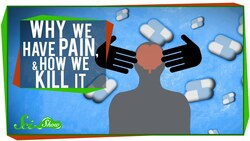 Why We Have Pain, & How We Kill It Instructional Video