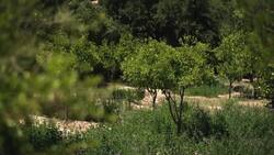 Guest Experience at Atlas Kasbah and Its Community Impact Instructional Video