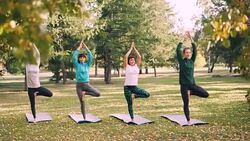 Dolly shot of beautiful women yogini standing on yoga mats in Tree pose with arms raised in Namaste during yoga class in park. Youth and nature concept. Stock Footage