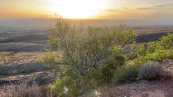 Let's Go There! Mountains and Basins Region of Texas Instructional Video