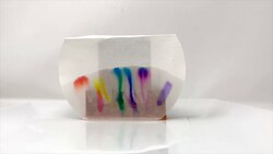 Paper Chromatography Experiment Instructional Video