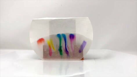 Paper Chromatography Experiment