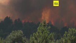 Morocco sends two Canadair planes to battle wildfires in Portugal News Clip