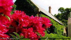 How to Plan a Trip to Boston Instructional Video