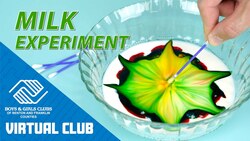 DIY STEM Project For Kids: Liquid Density Experiment Instructional Video