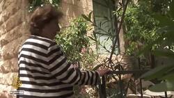 Palestinian family recounts Nakba experience News Clip
