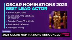 Oscar Nominations Announced News Clip