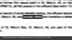 Rotting fish sauce turns N.L. town into ‘disaster zone,’ mayor says News Clip