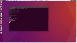 The Full Stack Web Development - Telnet Commands Instructional Video