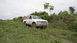 CLEAN : The Colombian farmer who made peace with the jaguar News Clip