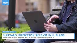 Harvard And Princeton Release Plans For Fall Semester News Clip