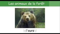 Wild animals in French - French vocabulary 10 Instructional Video