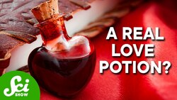 The Science Behind Sleep & Love Potions Instructional Video