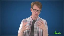 Kale Cauliflower and Brussels Sprouts Are the Same Species Instructional Video