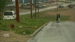 Record-breaking 2023 wildfires cost Quebec more than $8B News Clip