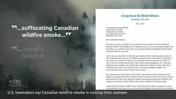 U.S. lawmakers blame Canada for summer ruined by wildfire smoke News Clip
