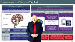 Introduction to the Structure and Investigation of the Brain Instructional Video