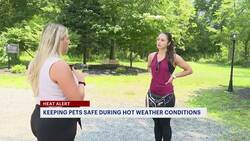 Animal experts urge pet owners to keep an eye on their animals during extreme heat News Clip