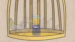 ¿Por qué se cree en supersticiones? Instructional Video