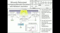 Heme Catabolism (1/2): Eukaryotic Reactions of Heme to Bilirubin Instructional Video