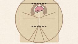 Why We Faint (When Other Animals Don't) Instructional Video