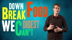 Human Parasites Instructional Video